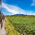 Tren Ecuador y el Chimborazo