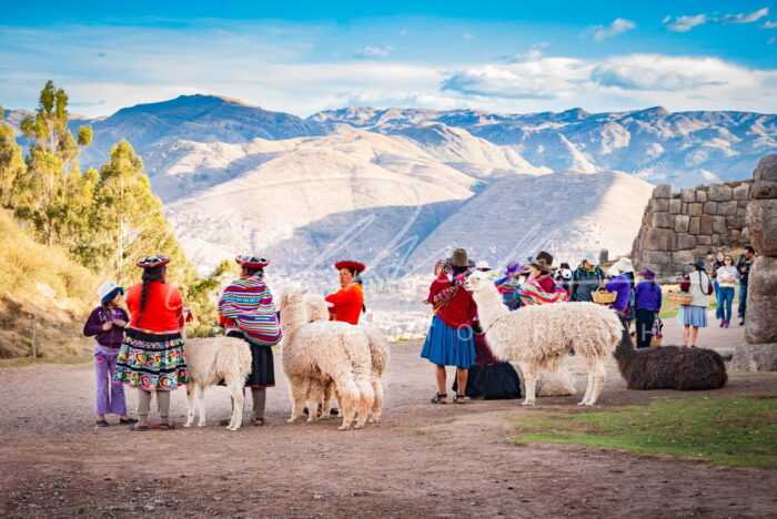 peru andes llamas fotografia imprime michael muller