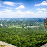 Lovers Leap en Rock City Garden - Georgia, Estados Unidos fotografia michael muller photo