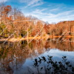 lago bosque north carolina estados unidos fotografia michael muller