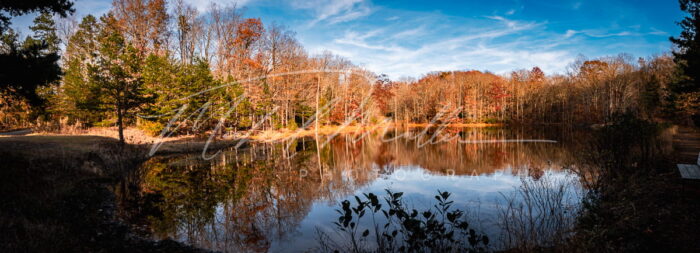 lago bosque north carolina estados unidos fotografia michael muller