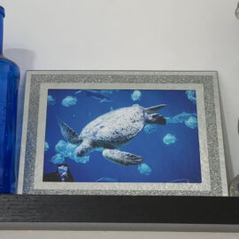 michael muller fotografia stock impresion ecuador