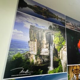 foto para local inkpressive michael muller