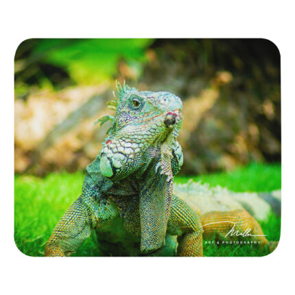 mouse-pad by michael muller art photography shop buy online
