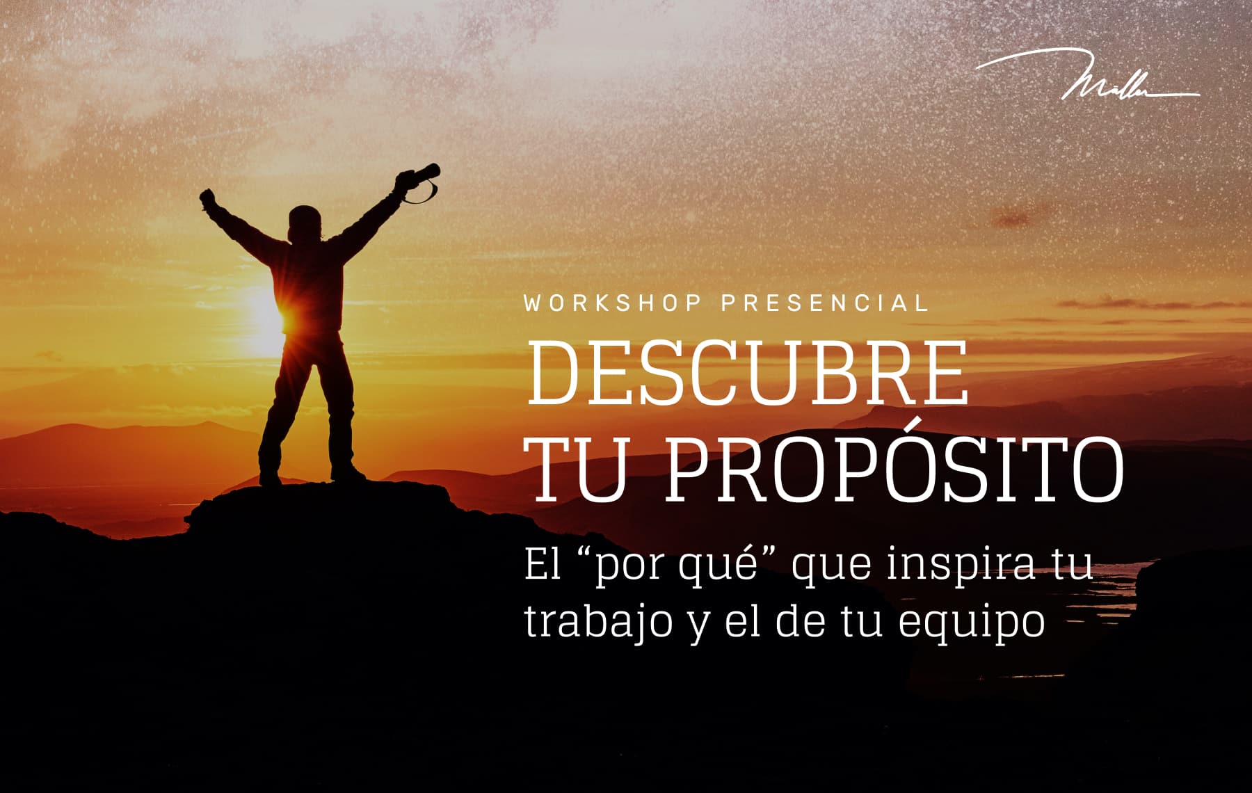 taller descubriendo proposito michael muller start with why simon sinek