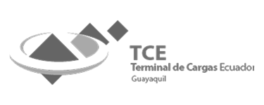 logo termina cargas ecuador design thinking ecuador workshop michael muller